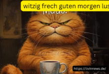 witzig frech guten morgen lustig